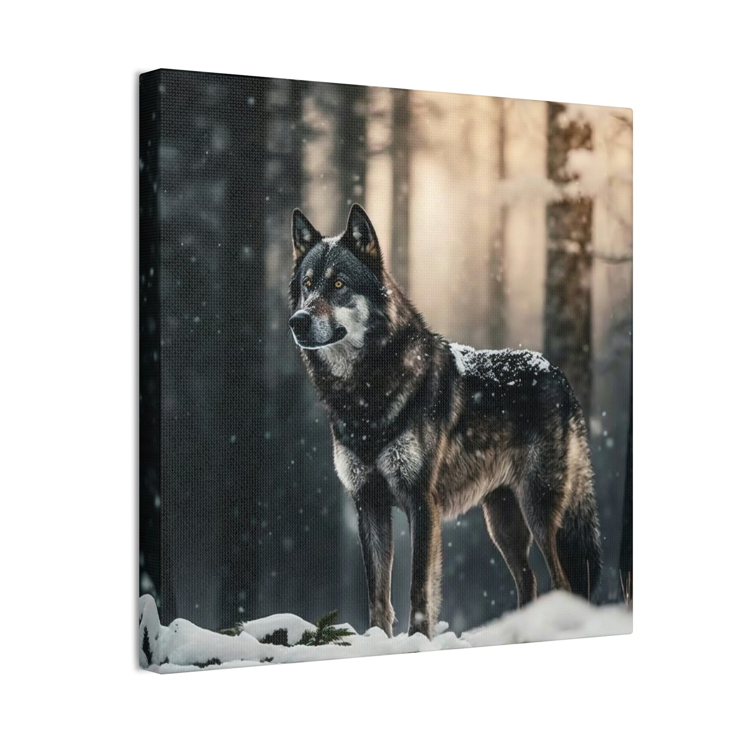 Wolf in the Forest
