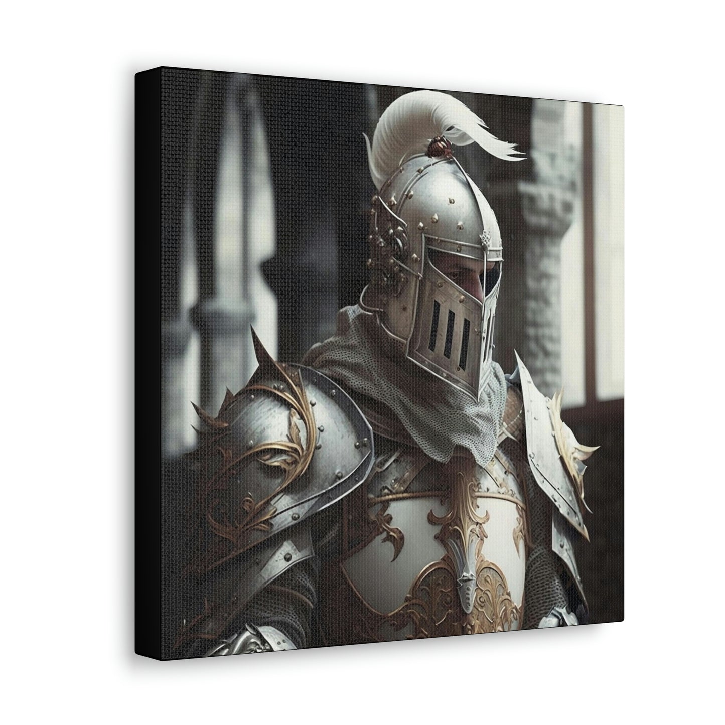 Paladin Canvas Gallery Wraps