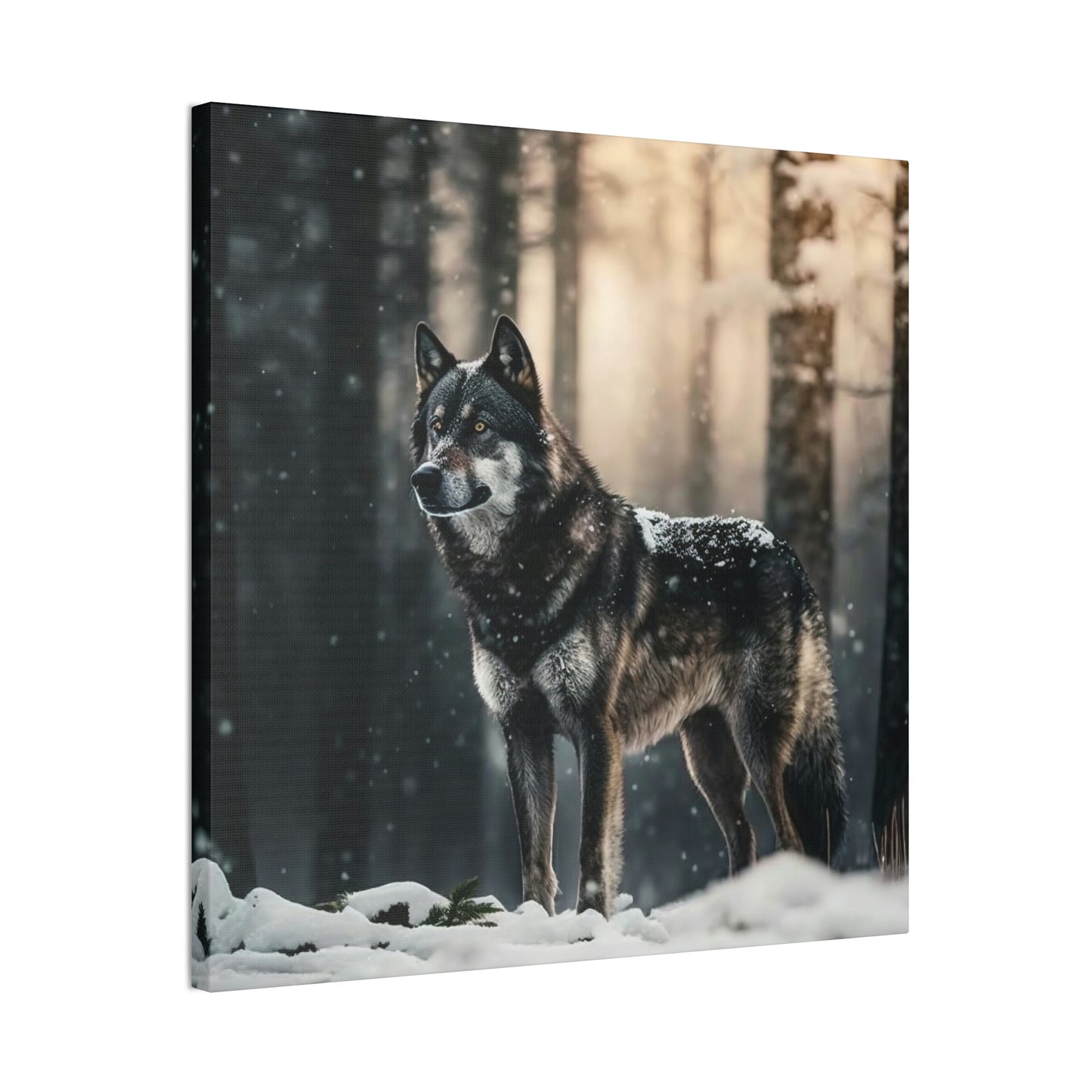 Wolf in the Forest