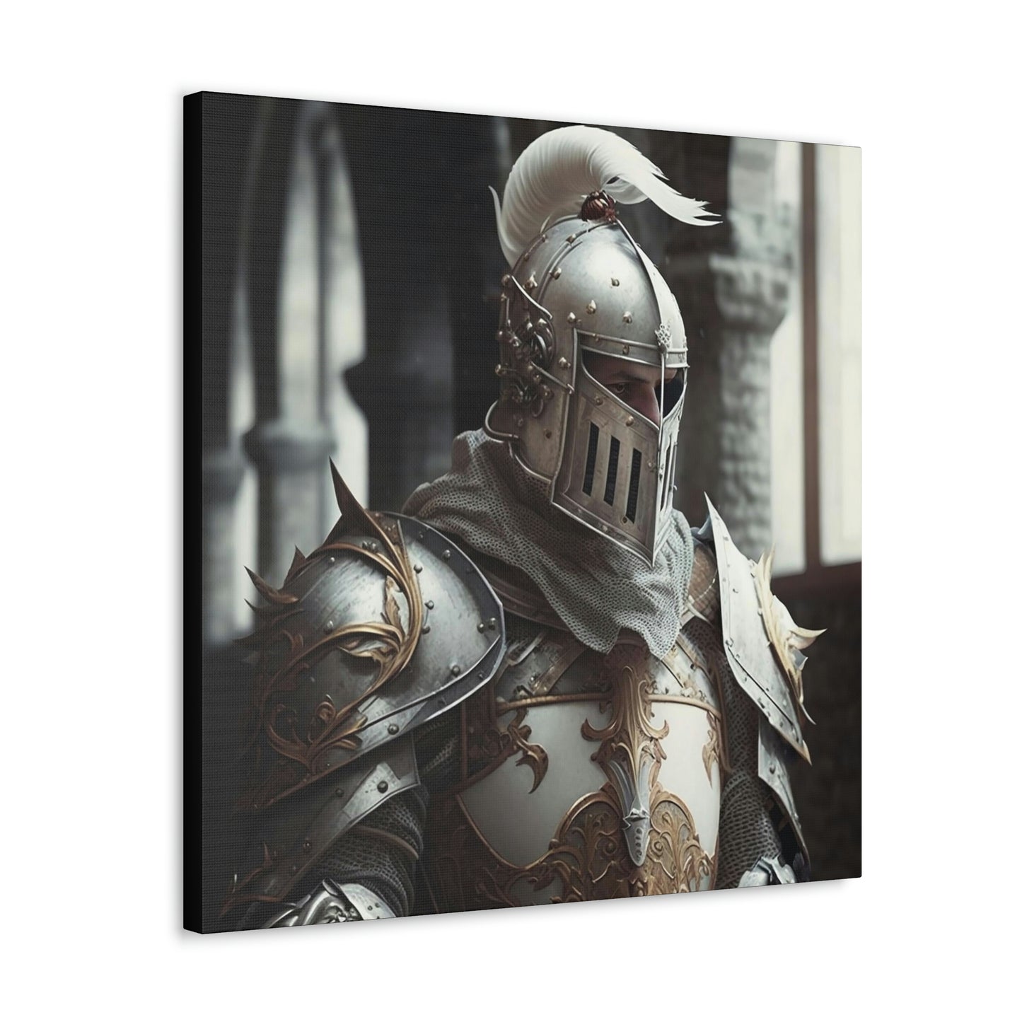 Paladin Canvas Gallery Wraps