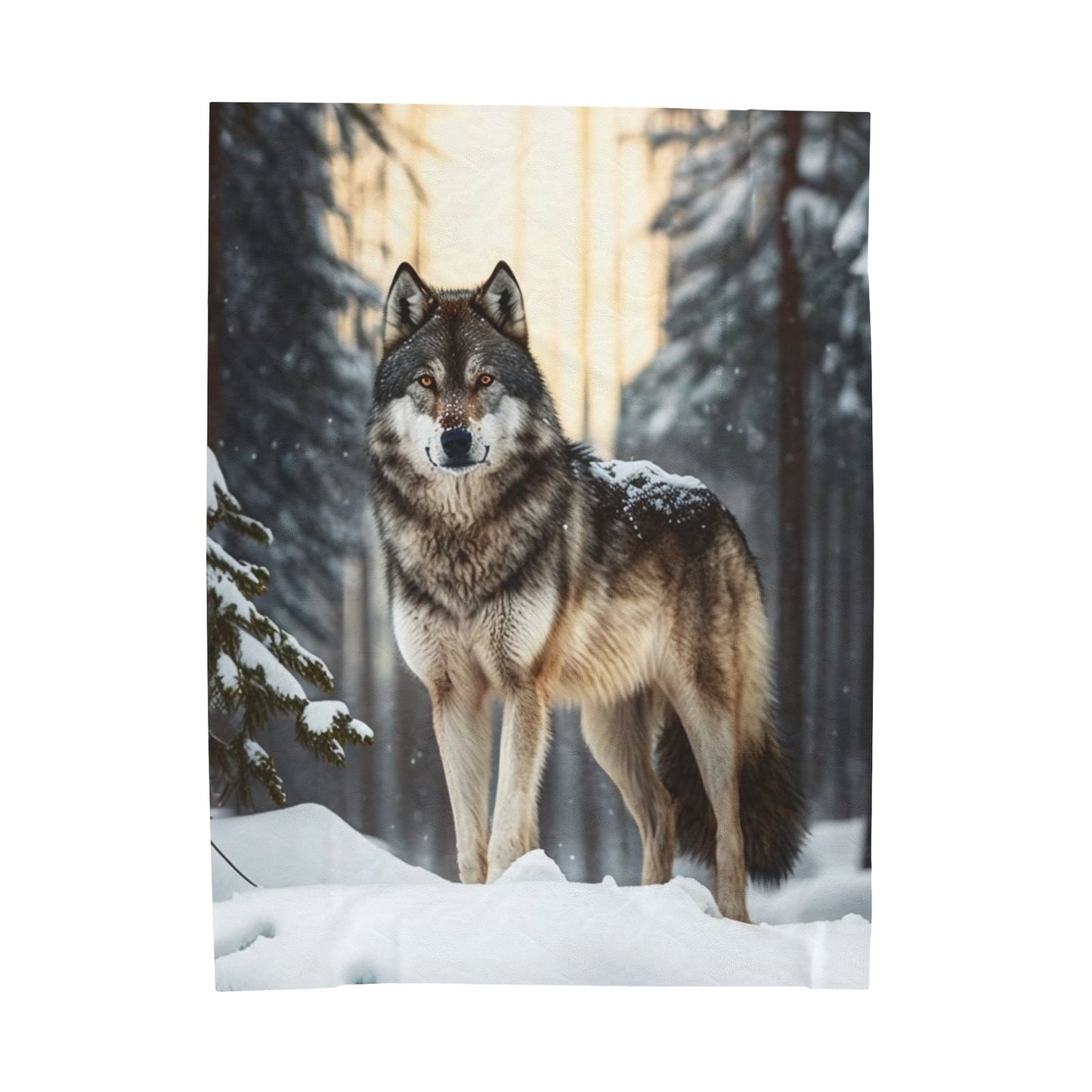 Grey Wolf Velveteen Plush Blanket