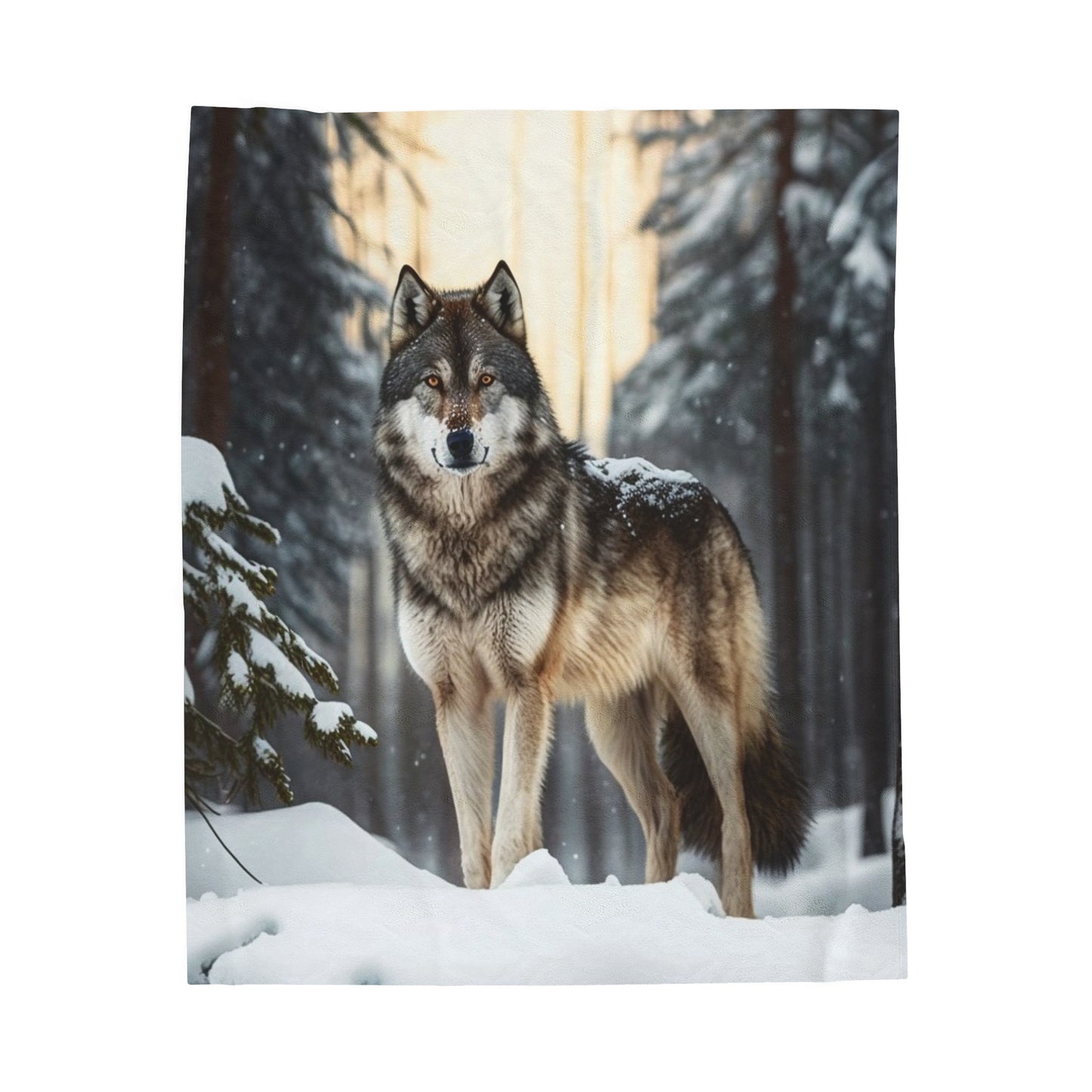 Grey Wolf Velveteen Plush Blanket